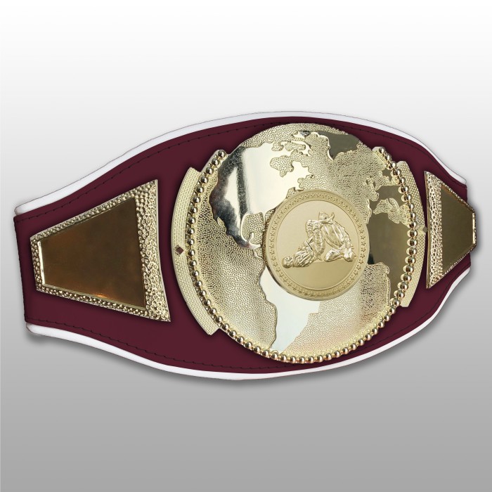 JIU JITSU CHAMPIONSHIP BELT PROGLOBE/G/JIUJITSUG - AVAILABLE IN 6+ COLOURS